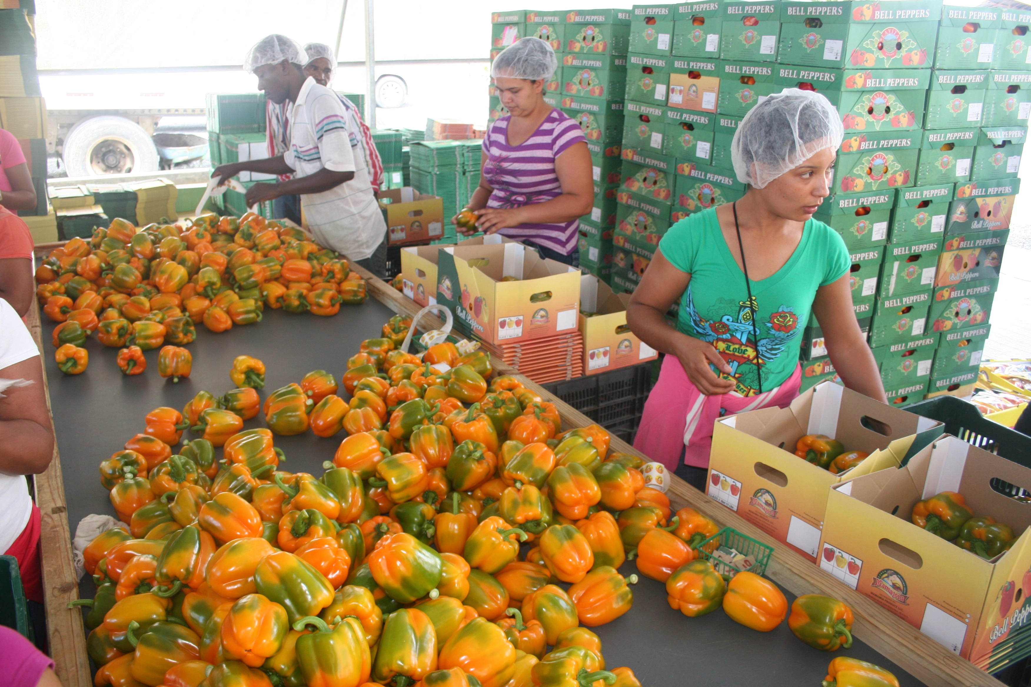 Transformamos realidades